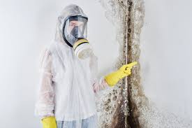 Best Environmental Consulting for Mold Prevention  in Healdsburg, CA